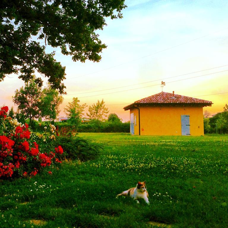 Vigorso 41 Country House Budrio (Bologna) Exterior foto